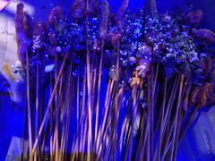 -别院里音乐餐酒吧(双流航空港店)