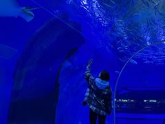 -波塞冬旅游度假区