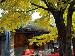 -红螺寺