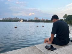 -暨阳湖生态园