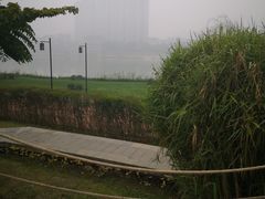 -禅驿嘉定院子-禅欢江景餐厅·中餐·户外烧烤定制(乐山大佛店)