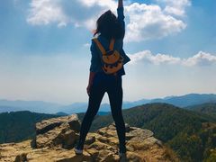 -苏木山森林公园
