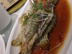 -老人和饭店(打浦路店)