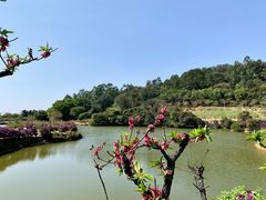 -南国桃园旅游度假区