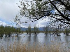 -野鸭湖国家湿地公园