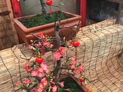-宝鸡东道花鸟鱼虫市场(吉利花园商场店)