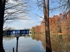 -上海海湾国家森林公园