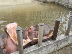 -常州淹城野生动物世界
