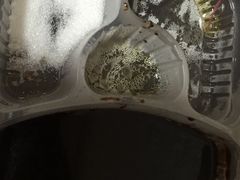-顺承小院儿