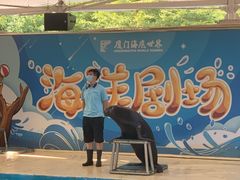 -厦门海底世界