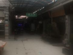 -武汉花鸟市场