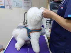 -美联众合动物医院·24h京西诊疗中心
