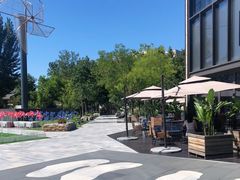 -The Rug Cafe(王府中环店)
