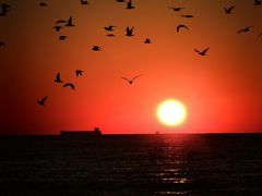 -老虎石海上公园