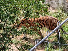 -石家庄市动物园