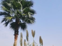-枫香湖儿童公园