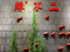 -辣不二地道川菜(汉水路店)