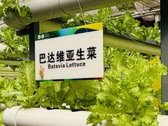 -长春农业博览园