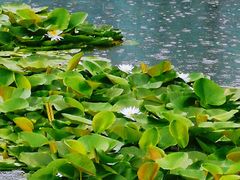 -湖州太湖旅游度假区-月亮广场