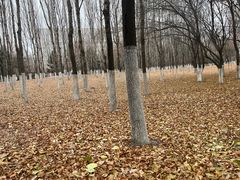 -长春世界雕塑园冰雪艺术天地