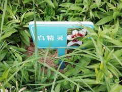-文瀛公园