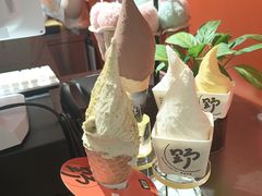-野人先生现做冰淇淋(北京王府井东方新天地店)