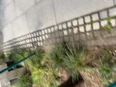 -鼓楼(西湖风景名胜区)