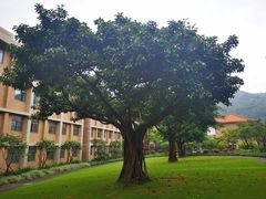-厦门国家会计学院