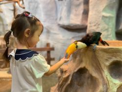 -Zoolung Zoolung动物主题公园(海信广场店)