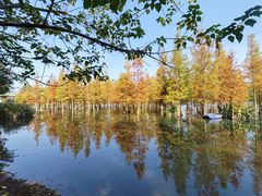 -白鹭湾湿地公园