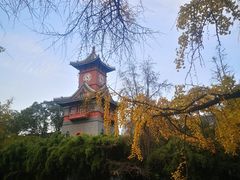 -四川大学(华西校区)