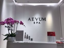 点击看大图 -奥斯芬·欧系贵族SPA