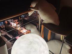 -后院儿·精酿·塔罗Happy Bar