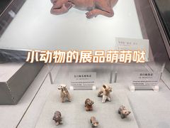 -广东省博物馆
