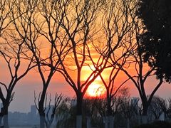 -合肥滨湖国家森林公园