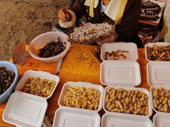 -云南木水花野生菌交易中心