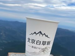 -白草畔自然风景区