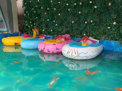 -北国之春国宴(乌兰察布店)