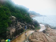 -广东惠东海龟国家级自然保护区