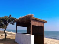 -巧克力渔家.小船海鲜家常菜(万平口店)