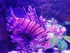 -梦幻海洋王国(吾悦广场张家港店)