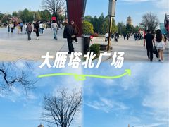 -大雁塔文化休闲景区-北广场
