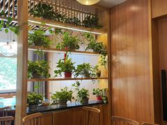 -邵厨香菜馆(唐人街店)