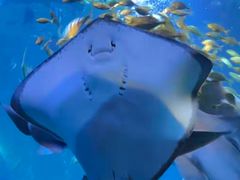 -太平洋海底世界