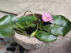 -光头佬钓虾场·烧烤·聚餐·亲子(金沙洲店)