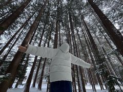 -北海道神宫