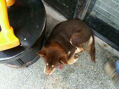 -四季小馆·地道北京小吃(广百店)