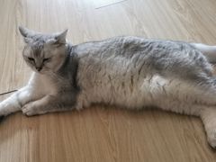 -纳吉亚猫专科动物医院博雅分院
