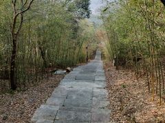 -南京市无想山景区