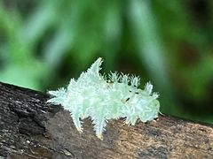-天河潭旅游度假区